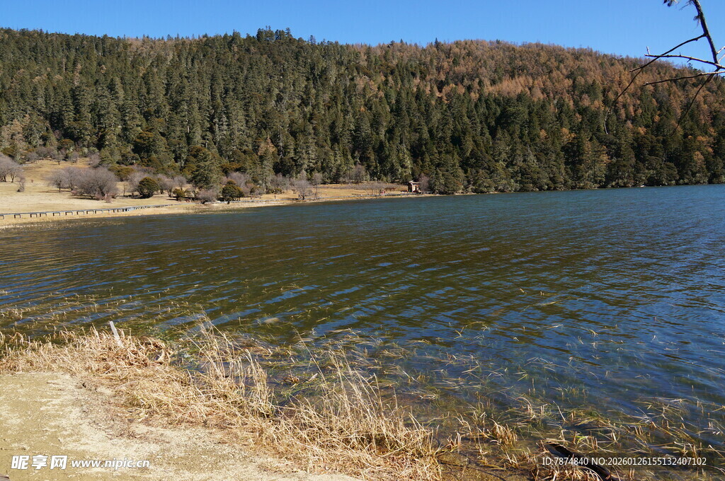 普达措森林公园