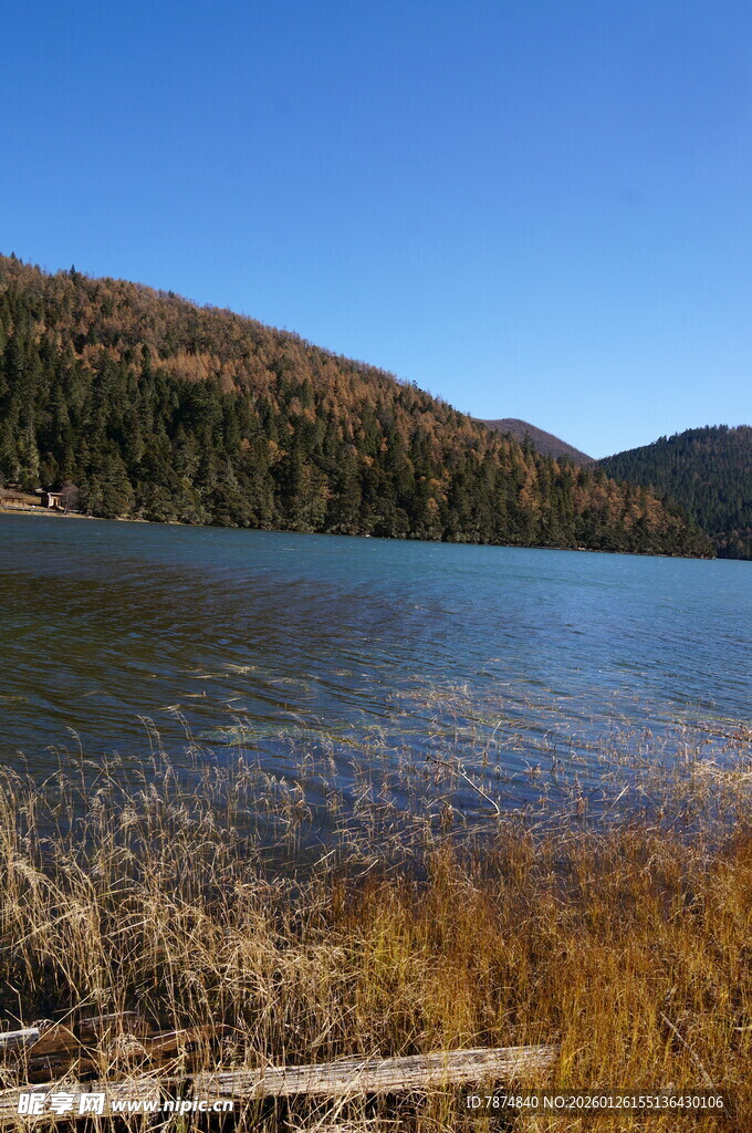 普达措森林公园