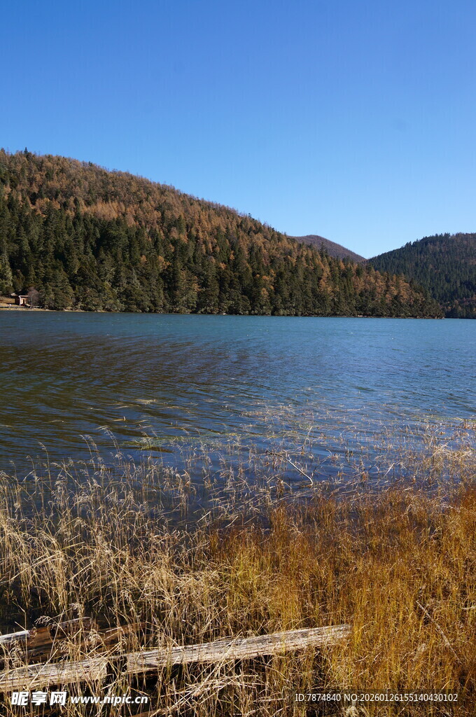 普达措森林公园