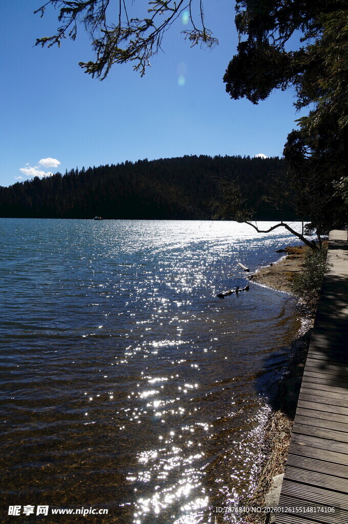 普达措森林公园