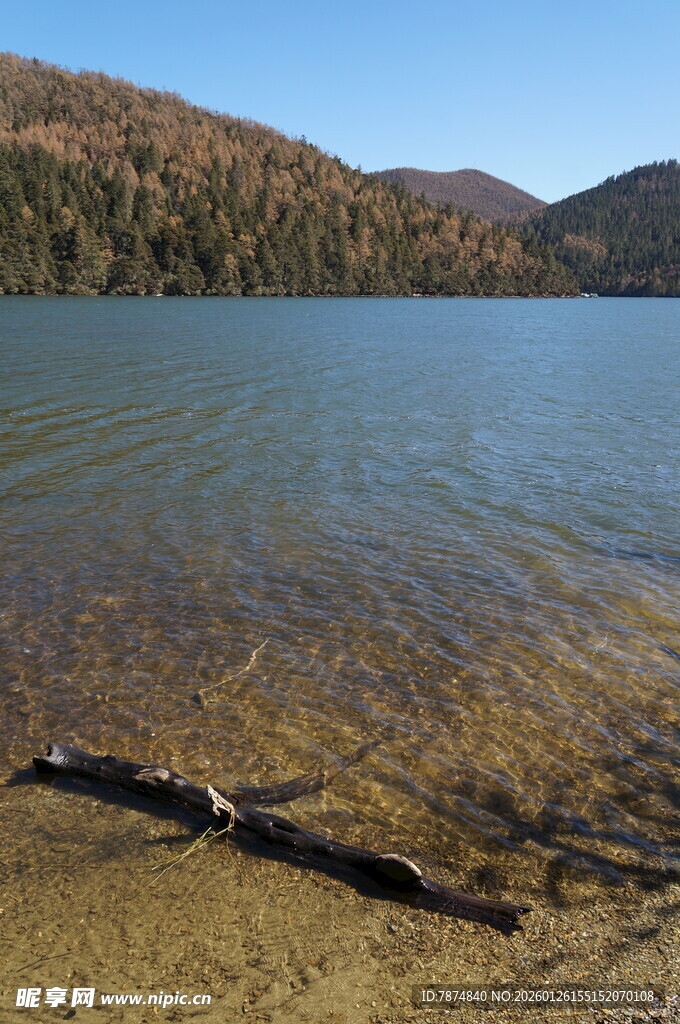 普达措森林公园