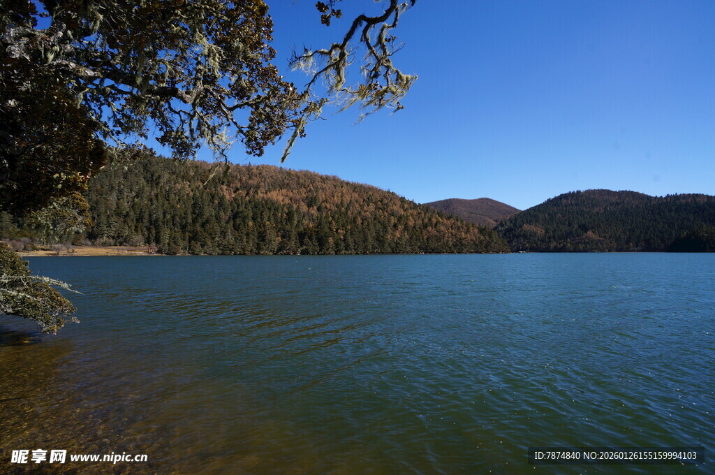 普达措森林公园