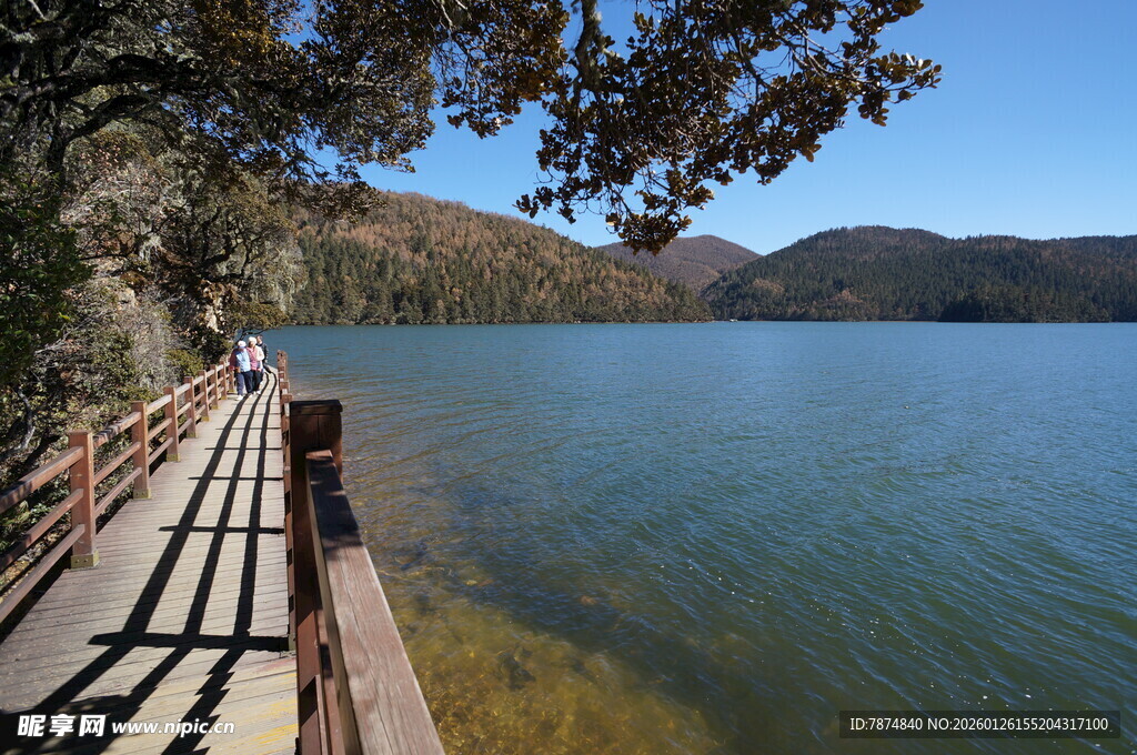 普达措森林公园