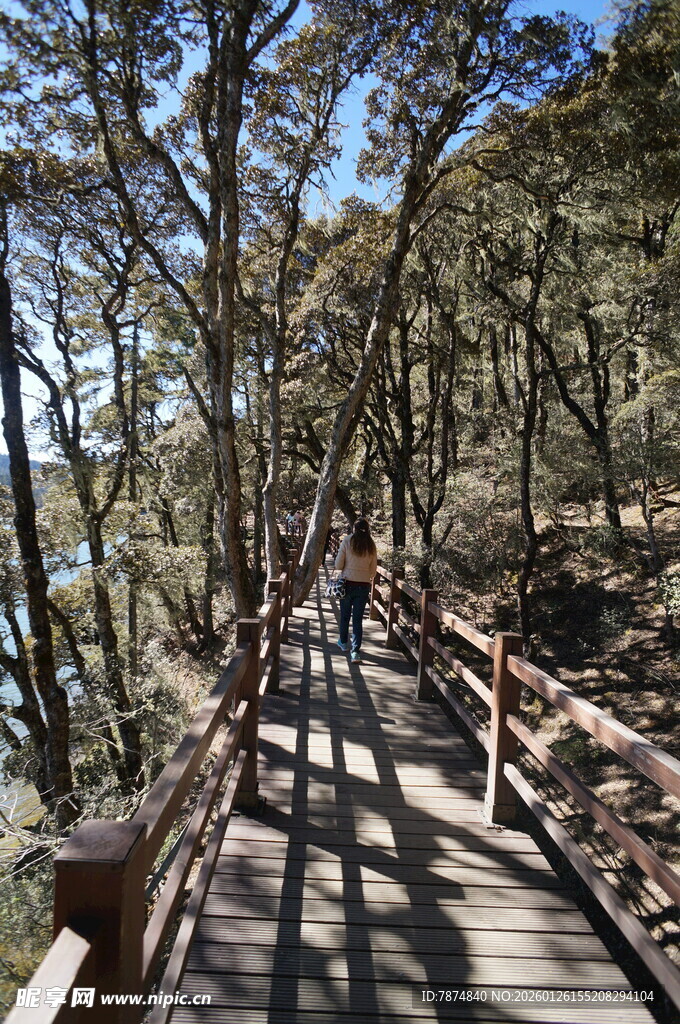 普达措森林公园