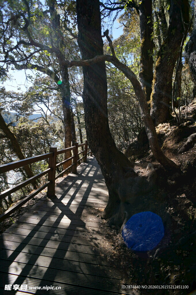 普达措森林公园