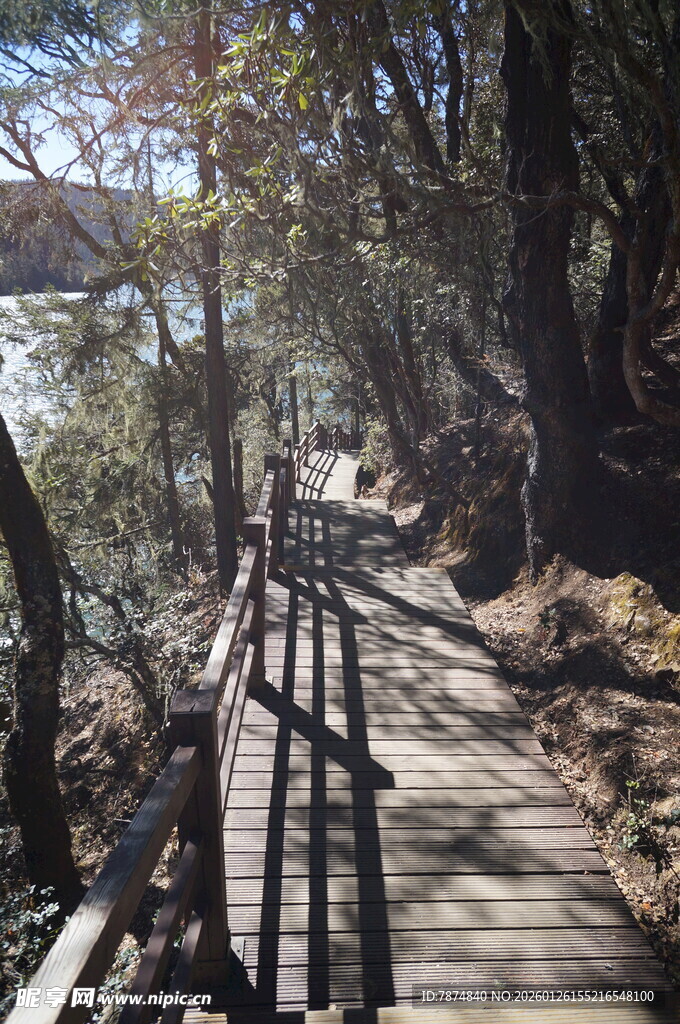 普达措森林公园