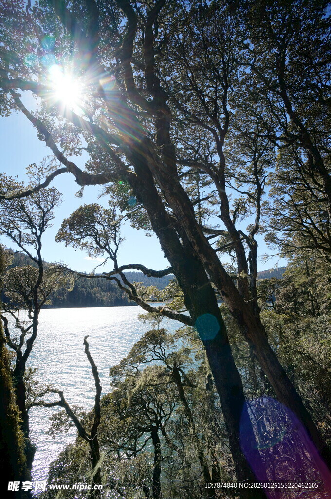 普达措森林公园