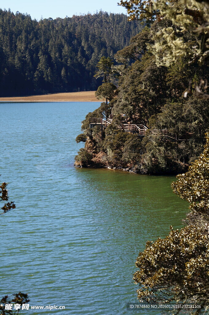 普达措森林公园