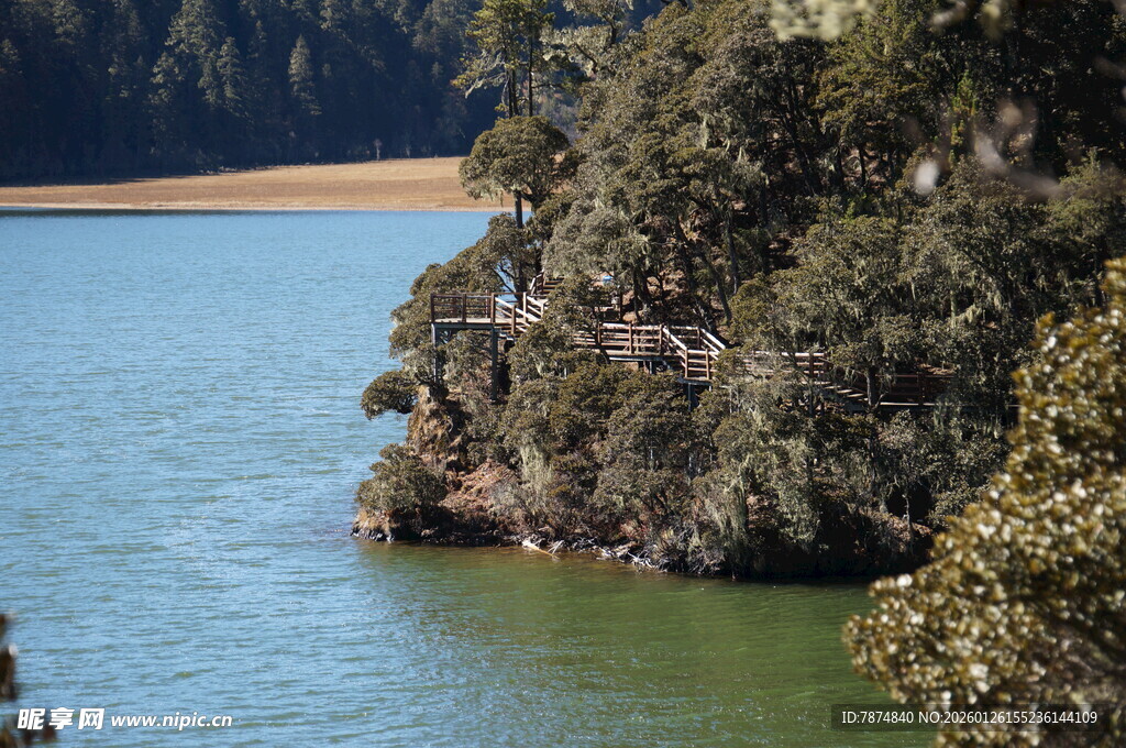 普达措森林公园