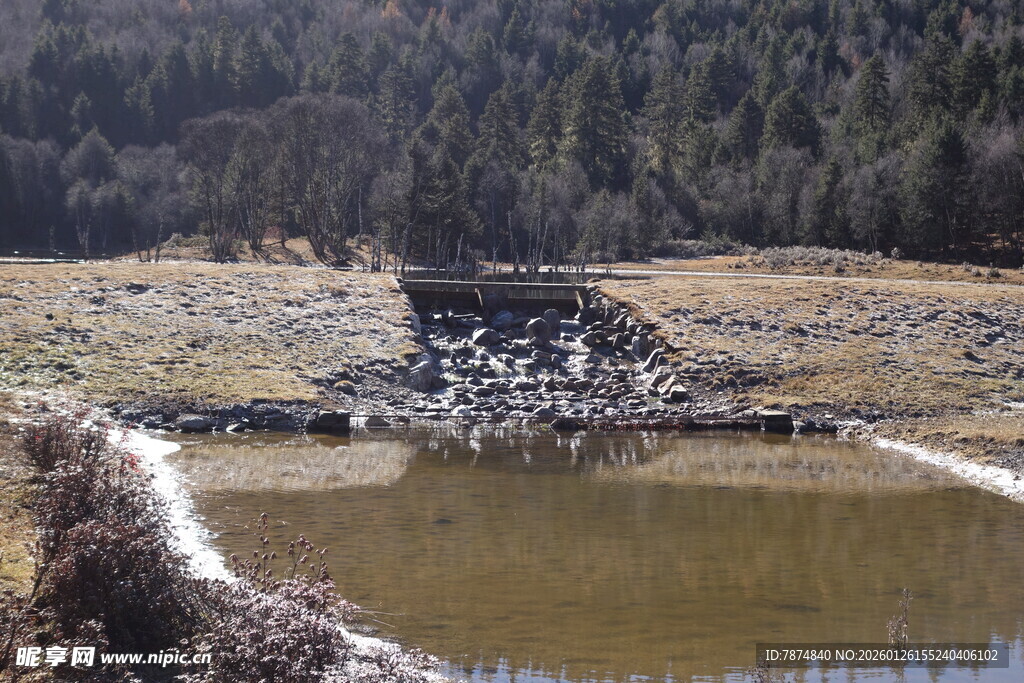 普达措森林公园