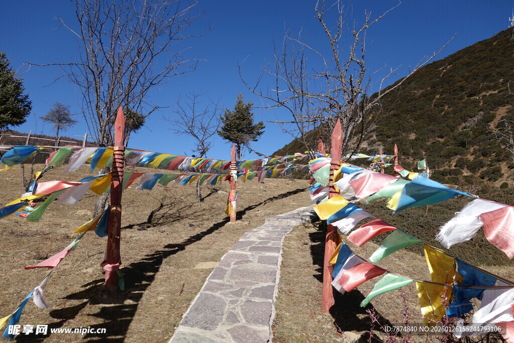 普达措森林公园
