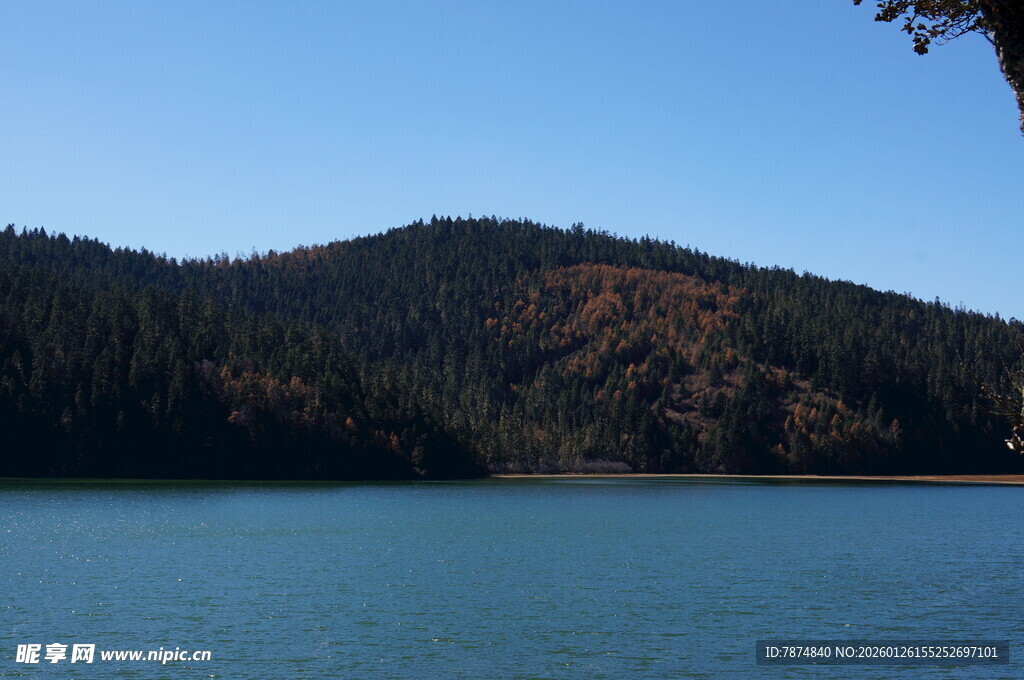 普达措森林公园
