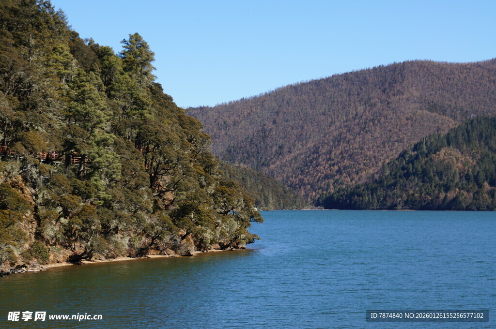 普达措森林公园