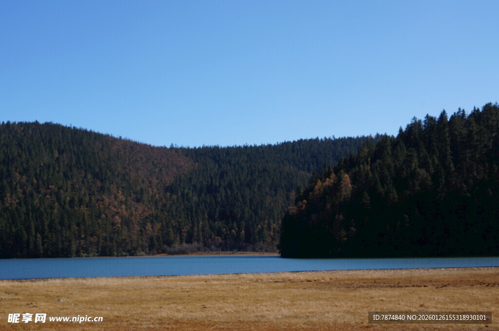 普达措森林公园