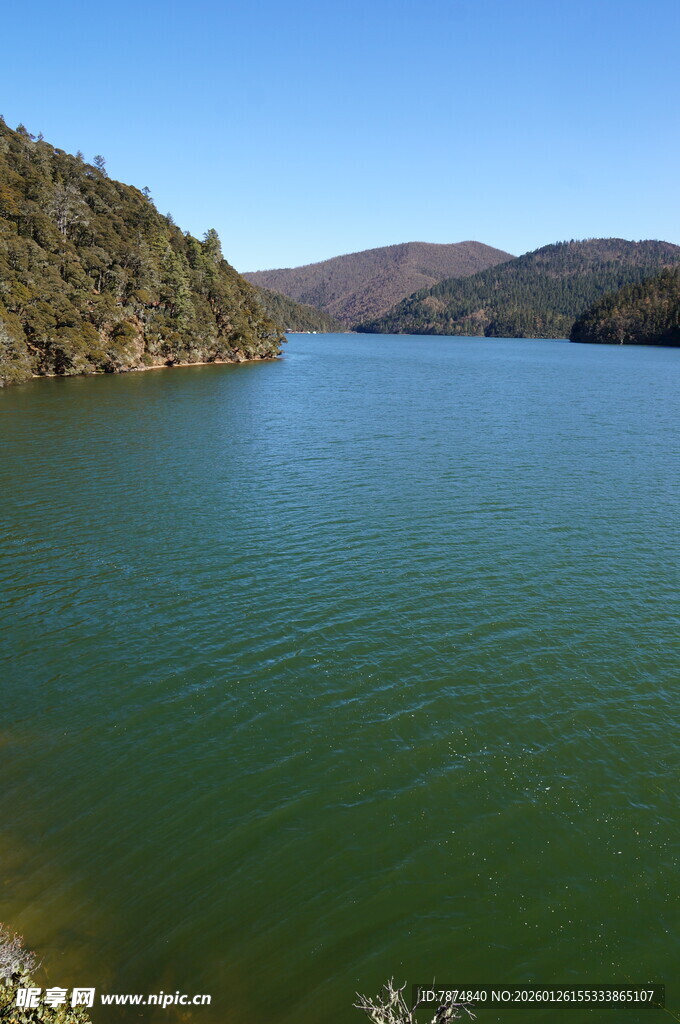 普达措森林公园