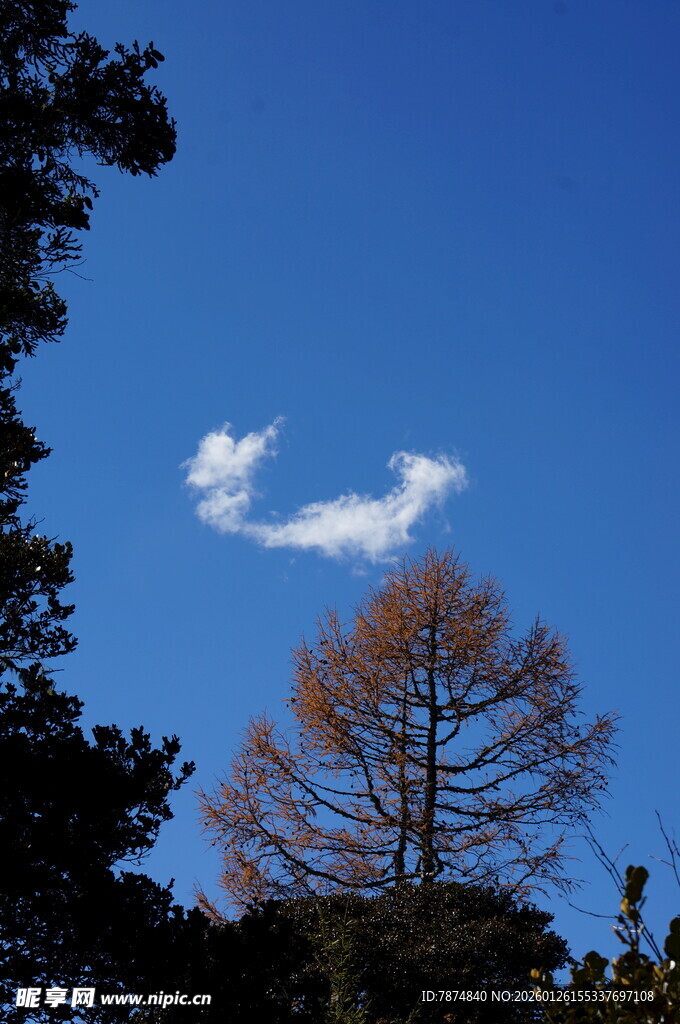 普达措森林公园