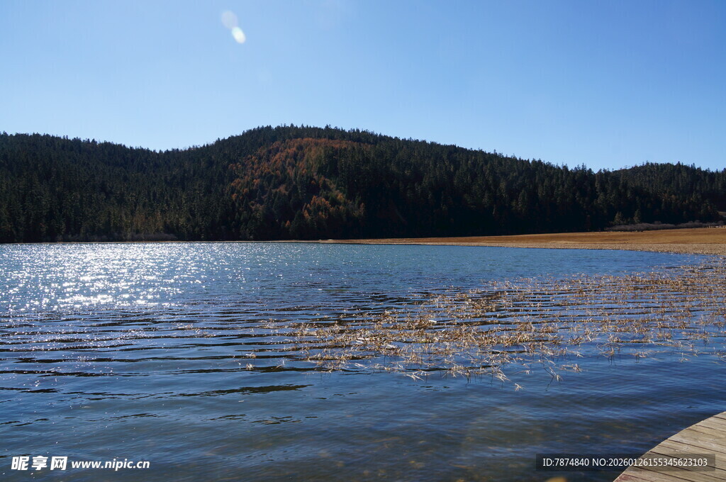 普达措森林公园