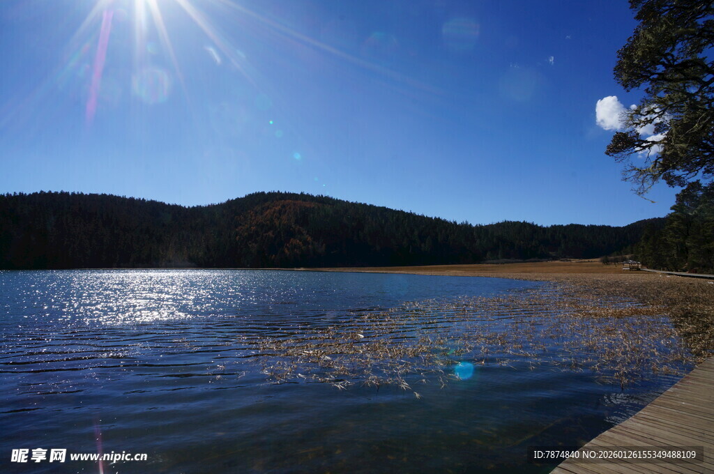普达措森林公园