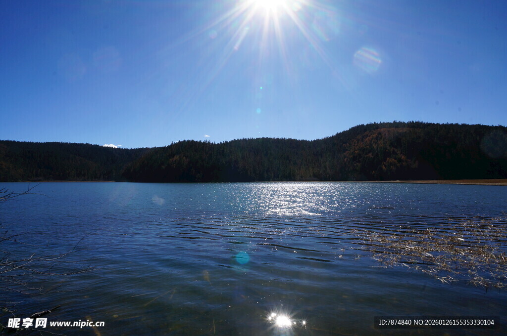 普达措森林公园