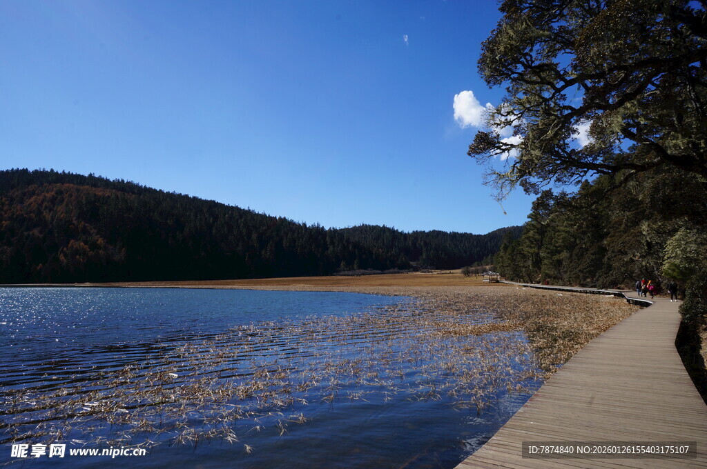 普达措森林公园