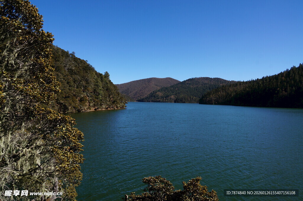 普达措森林公园