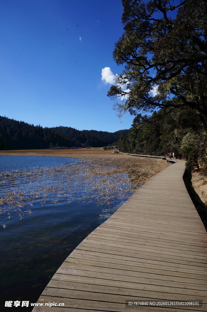 普达措森林公园