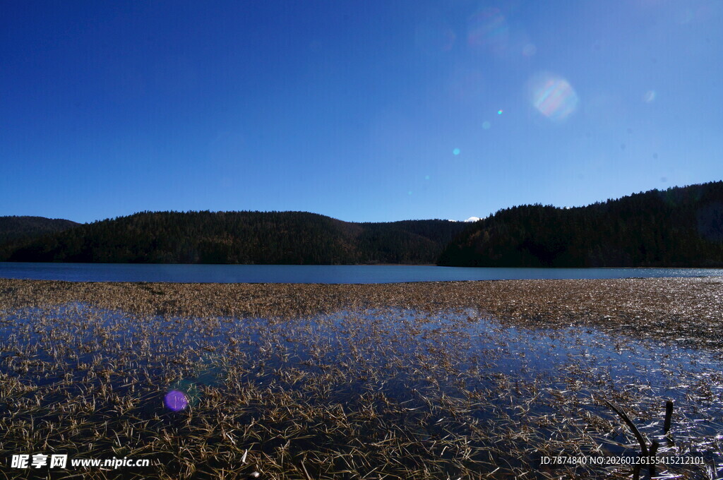 普达措森林公园