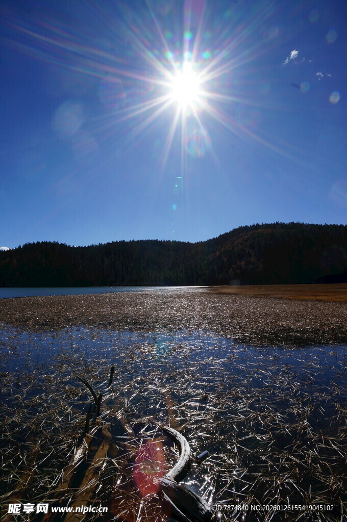 普达措森林公园