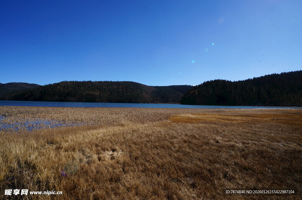 普达措森林公园