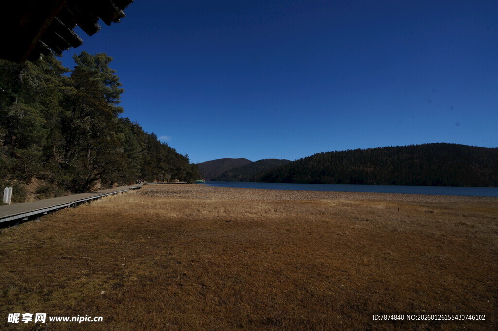 普达措森林公园