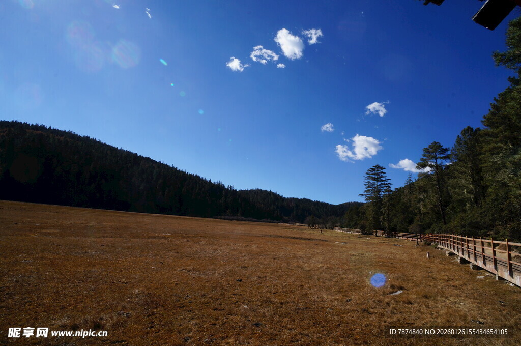 普达措森林公园