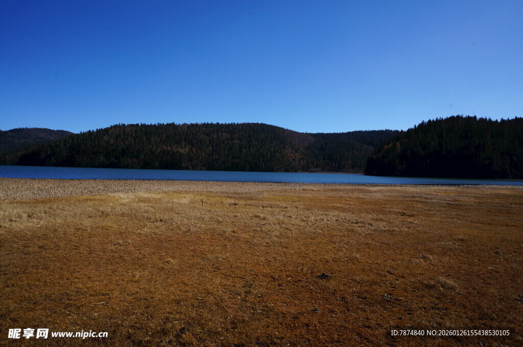 普达措森林公园