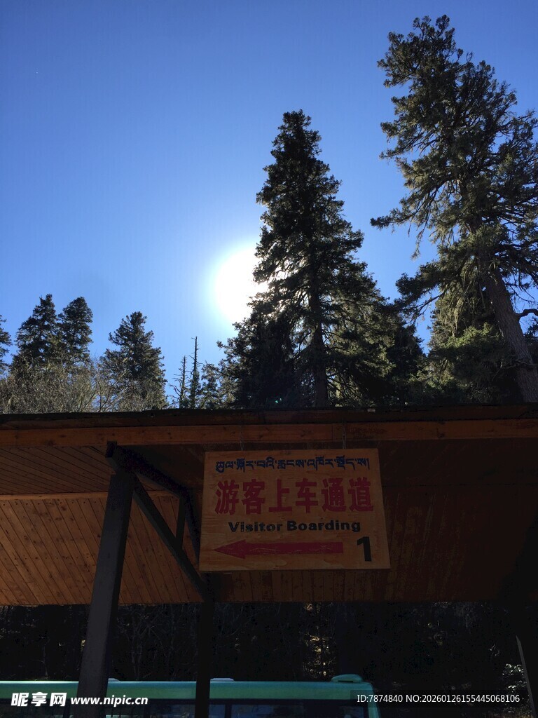 普达措森林公园