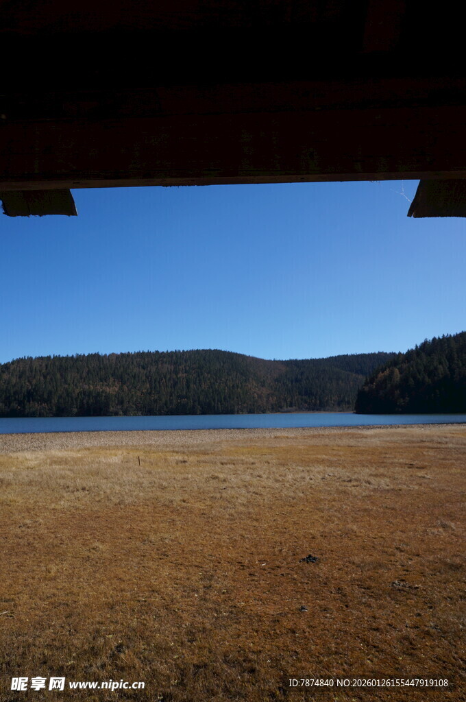 普达措森林公园