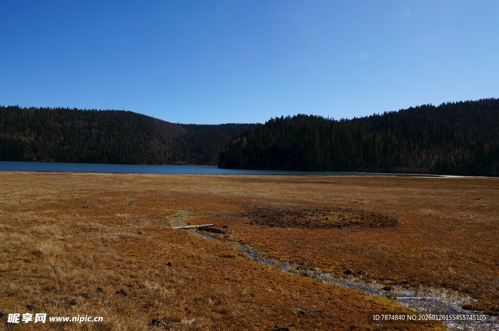 普达措森林公园