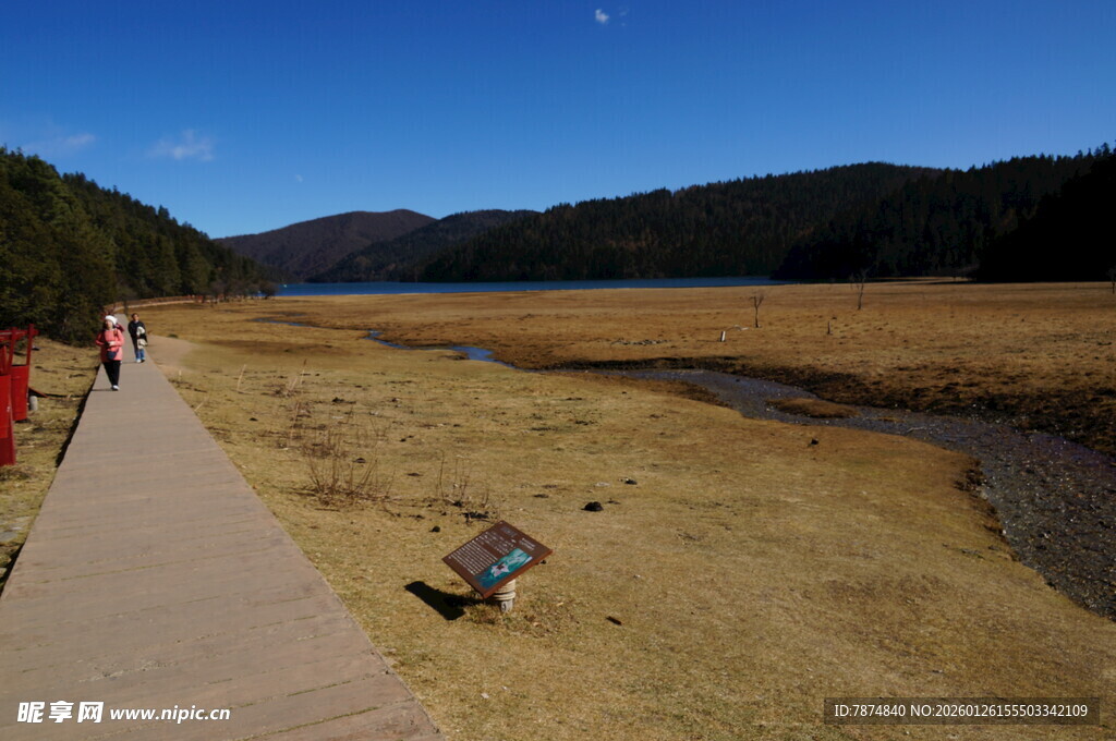 普达措森林公园