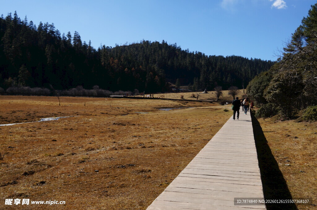 普达措森林公园