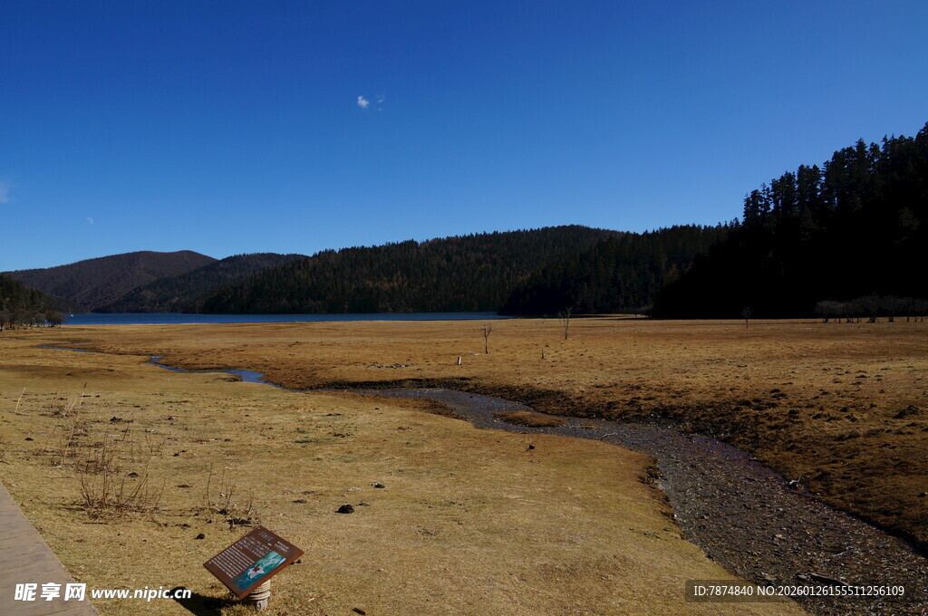 普达措森林公园