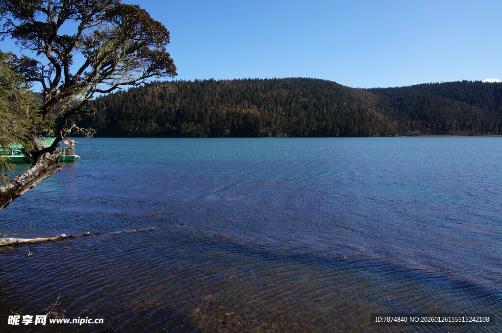 普达措森林公园