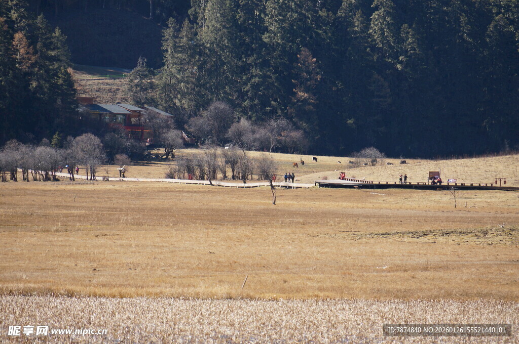 普达措森林公园