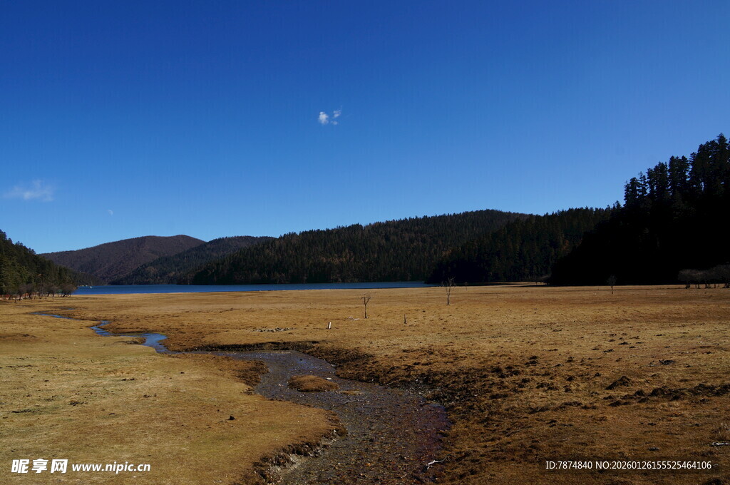 普达措森林公园