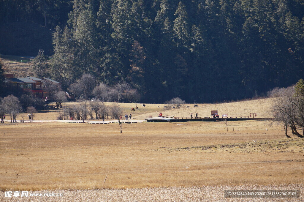 普达措森林公园