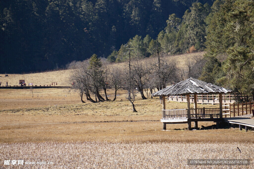 普达措森林公园