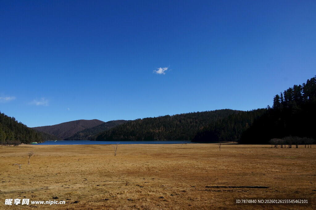 普达措森林公园