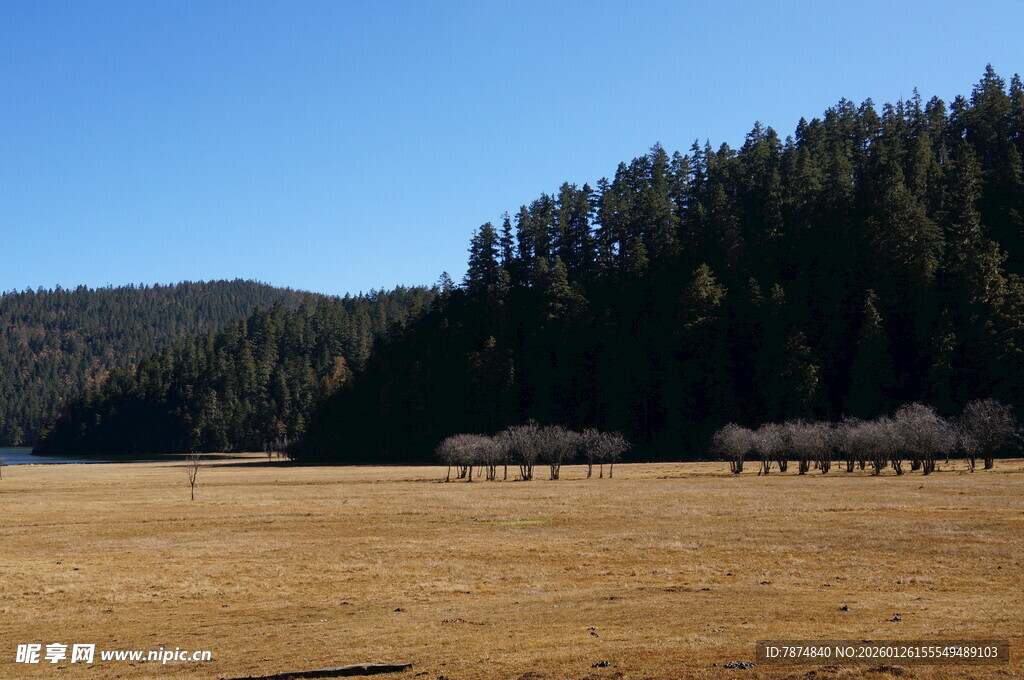 普达措森林公园
