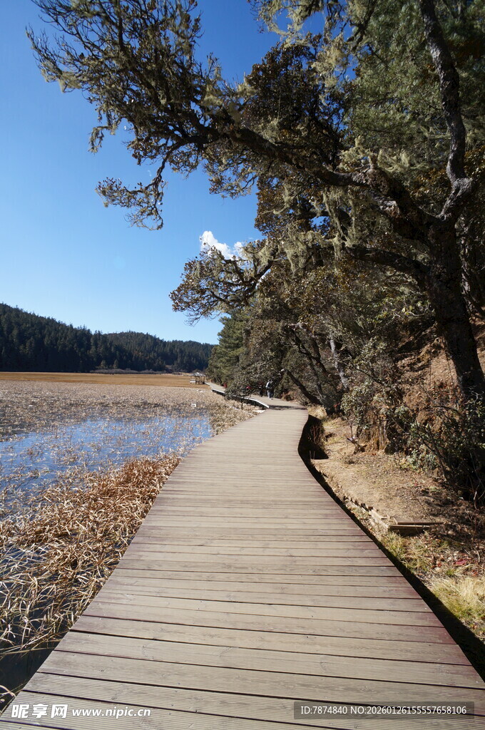 普达措森林公园
