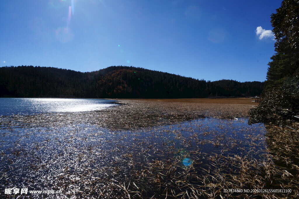 普达措森林公园