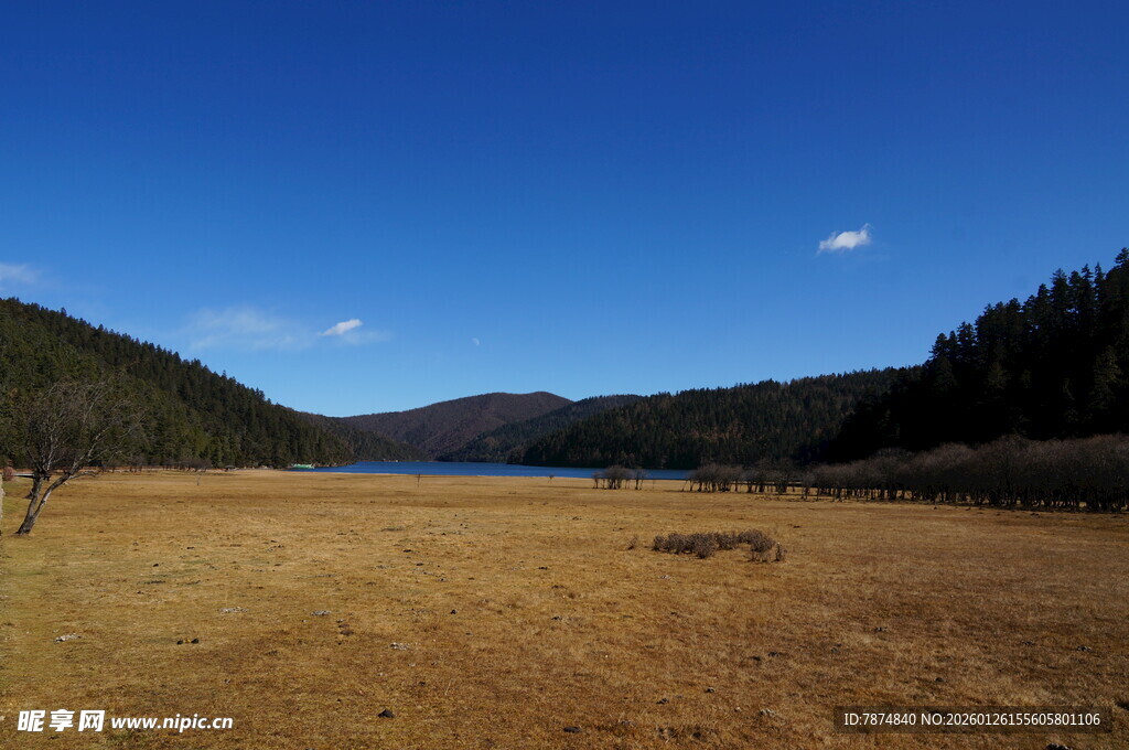 普达措森林公园