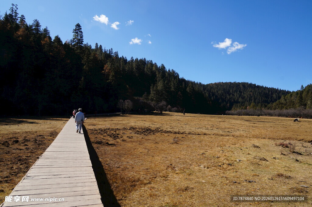 普达措森林公园