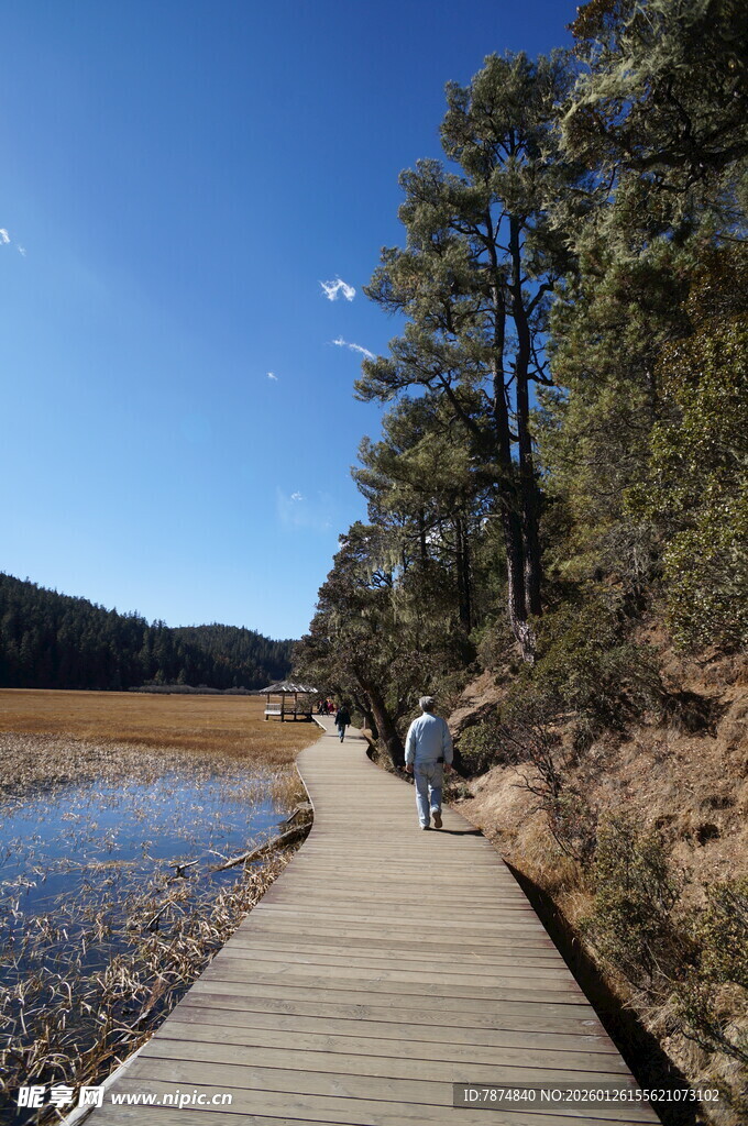 普达措森林公园